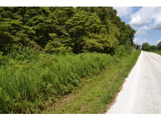 Property photo 18 - LAND FOR SALE - 129.9+/-ACRES OFFERED IN 2 TRACTS IN NEWTON COUNTY, INDIANA