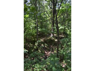 Property photo 24 - LAND FOR SALE - 129.9+/-ACRES OFFERED IN 2 TRACTS IN NEWTON COUNTY, INDIANA