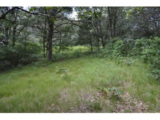 Property photo 22 - LAND FOR SALE - 129.9+/-ACRES OFFERED IN 2 TRACTS IN NEWTON COUNTY, INDIANA