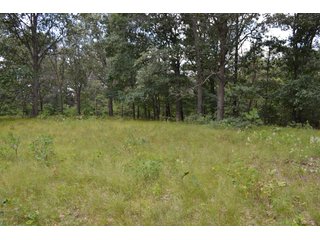 Property photo 21 - LAND FOR SALE - 129.9+/-ACRES OFFERED IN 2 TRACTS IN NEWTON COUNTY, INDIANA
