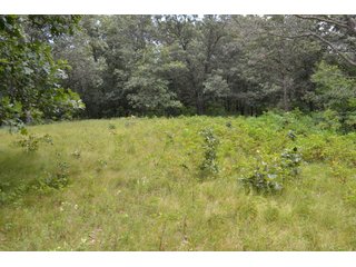 Property photo 20 - LAND FOR SALE - 129.9+/-ACRES OFFERED IN 2 TRACTS IN NEWTON COUNTY, INDIANA