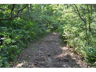Property photo 31 - LAND FOR SALE - 129.9+/-ACRES OFFERED IN 2 TRACTS IN NEWTON COUNTY, INDIANA