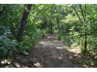 Property photo 32 - LAND FOR SALE - 129.9+/-ACRES OFFERED IN 2 TRACTS IN NEWTON COUNTY, INDIANA