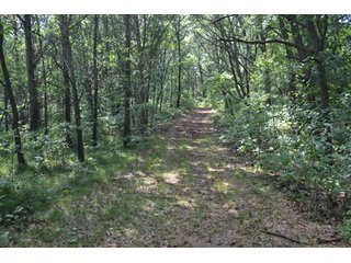 Property photo 33 - LAND FOR SALE - 129.9+/-ACRES OFFERED IN 2 TRACTS IN NEWTON COUNTY, INDIANA