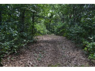 Property photo 34 - LAND FOR SALE - 129.9+/-ACRES OFFERED IN 2 TRACTS IN NEWTON COUNTY, INDIANA