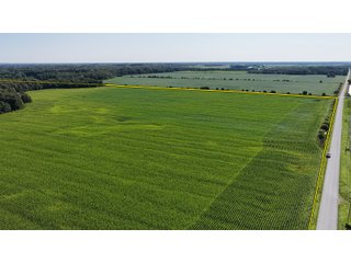 Property photo 3 - LAND FOR SALE - 129.9+/-ACRES OFFERED IN 2 TRACTS IN NEWTON COUNTY, INDIANA