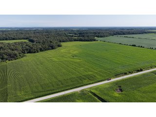 Property photo 4 - LAND FOR SALE - 129.9+/-ACRES OFFERED IN 2 TRACTS IN NEWTON COUNTY, INDIANA