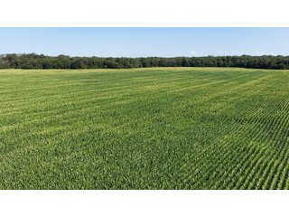 Property photo 7 - LAND FOR SALE - 129.9+/-ACRES OFFERED IN 2 TRACTS IN NEWTON COUNTY, INDIANA