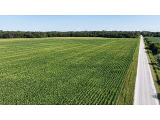 Property photo 8 - LAND FOR SALE - 129.9+/-ACRES OFFERED IN 2 TRACTS IN NEWTON COUNTY, INDIANA