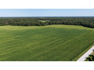 Property photo 10 - LAND FOR SALE - 129.9+/-ACRES OFFERED IN 2 TRACTS IN NEWTON COUNTY, INDIANA