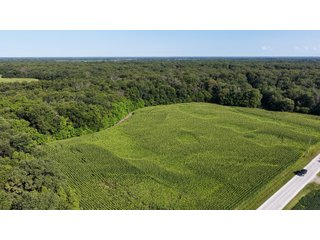Property photo 11 - LAND FOR SALE - 129.9+/-ACRES OFFERED IN 2 TRACTS IN NEWTON COUNTY, INDIANA