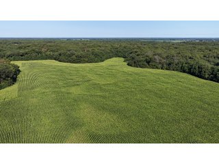 Property photo 12 - LAND FOR SALE - 129.9+/-ACRES OFFERED IN 2 TRACTS IN NEWTON COUNTY, INDIANA
