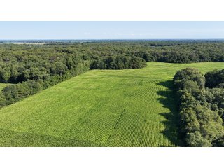 Property photo 13 - LAND FOR SALE - 129.9+/-ACRES OFFERED IN 2 TRACTS IN NEWTON COUNTY, INDIANA