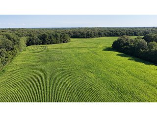 Property photo 14 - LAND FOR SALE - 129.9+/-ACRES OFFERED IN 2 TRACTS IN NEWTON COUNTY, INDIANA