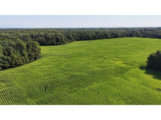 Property photo 15 - LAND FOR SALE - 129.9+/-ACRES OFFERED IN 2 TRACTS IN NEWTON COUNTY, INDIANA