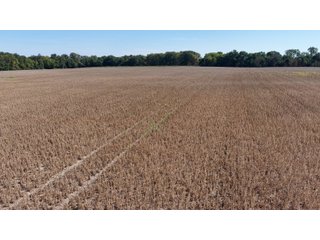 <LI>Located between Walton & Galveston, IN; Just East of US 35
<LI>152.74+/- Acres - Section 21, Jackson Township, Cass County, IN
<LI>Some Excellent Quality Soils
<LI>Frontage on S Lincoln Pike
<LI>Frontage on Deer Creek
<LI>Recreation Possibilities<BR><BR>
<B>FSA Info:</B> Farm 4759
<LI><B>Farmland:</B> 147.46 Acres
<LI><B>Cropland:</B> 119.03 Acres
<LI><B>DCP Cropland:</B> 123.33 Acres
<LI>Corn Base 34.73 Acres
<LI><B>PLC Yield:</B> 176 Bushel
<LI><B>Soybean Base:</B> 75.6 Acres
<LI><B>PLC Yield:</B> 50 Bushel
CRP Program
<LI><B>CP 33</B> - 11.1 Acres @ 194/Acre Expires 9-30-30<BR><BR>
<B>Real Estate Taxes</B> $3921.53/Year - LAND FOR SALE -152.74+/-ACRES IN CASS COUNTY, INDIANA