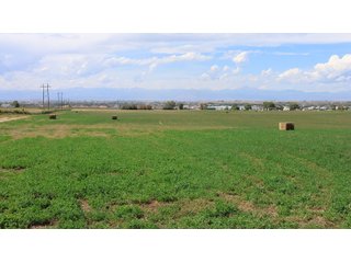 An opportunity to acquire approximately 280+/- acres along County Road 8 in southern Weld County. Strategically positioned between Fort Lupton and Brighton, the property consists of two contiguous parcels under common ownership and offers the scale and configuration to support agricultural operations, long-term investment, or future employment, industrial, technology and energy development.<BR><BR>
The property is presently zoned Agricultural in unincorporated Weld County. Its substantial acreage and location within the growing US Highway 85 and Interstate 76 corridor provide a strong foundation for a buyer prepared to evaluate zoning, infrastructure and development alternatives.<BR><BR>
Water interests include shares in the Wellington Reservoir Company, Burlington Ditch Reservoir and Land Company, and Brighton Lateral Ditch Company. Ownership, conveyance terms, historical use, transferable yield and suitability for future development remain subject to verification.<BR><BR>
The property provides access to the northern Denver metropolitan area, Denver International Airport and expanding Weld County employment centers. Existing agricultural use offers an interim holding strategy while a purchaser evaluates potential development plans and required approvals.<BR><BR>
Prospective purchasers should independently verify acreage, boundaries, access, zoning, permitted uses, utility availability and capacity, water rights, environmental conditions, mineral interests and development feasibility. No survey is being provided, and all future development concepts are subject to governmental and utility-provider approvals. - LAND FOR SALE - 280+/-ACRES IN WELD COUNTY, COLORADO