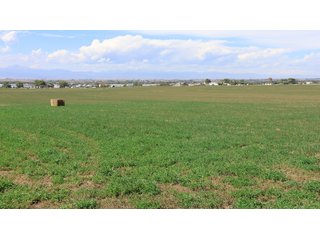 An opportunity to acquire approximately 280+/- acres along County Road 8 in southern Weld County. Strategically positioned between Fort Lupton and Brighton, the property consists of two contiguous parcels under common ownership and offers the scale and configuration to support agricultural operations, long-term investment, or future employment, industrial, technology and energy development.<BR><BR>
The property is presently zoned Agricultural in unincorporated Weld County. Its substantial acreage and location within the growing US Highway 85 and Interstate 76 corridor provide a strong foundation for a buyer prepared to evaluate zoning, infrastructure and development alternatives.<BR><BR>
Water interests include shares in the Wellington Reservoir Company, Burlington Ditch Reservoir and Land Company, and Brighton Lateral Ditch Company. Ownership, conveyance terms, historical use, transferable yield and suitability for future development remain subject to verification.<BR><BR>
The property provides access to the northern Denver metropolitan area, Denver International Airport and expanding Weld County employment centers. Existing agricultural use offers an interim holding strategy while a purchaser evaluates potential development plans and required approvals.<BR><BR>
Prospective purchasers should independently verify acreage, boundaries, access, zoning, permitted uses, utility availability and capacity, water rights, environmental conditions, mineral interests and development feasibility. No survey is being provided, and all future development concepts are subject to governmental and utility-provider approvals. - LAND FOR SALE - 280+/-ACRES IN WELD COUNTY, COLORADO