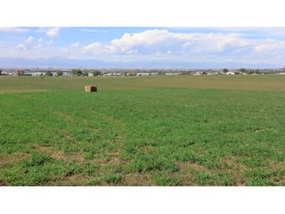 An opportunity to acquire approximately 280+/- acres along County Road 8 in southern Weld County. Strategically positioned between Fort Lupton and Brighton, the property consists of two contiguous parcels under common ownership and offers the scale and configuration to support agricultural operations, long-term investment, or future employment, industrial, technology and energy development.<BR><BR>
The property is presently zoned Agricultural in unincorporated Weld County. Its substantial acreage and location within the growing US Highway 85 and Interstate 76 corridor provide a strong foundation for a buyer prepared to evaluate zoning, infrastructure and development alternatives.<BR><BR>
Water interests include shares in the Wellington Reservoir Company, Burlington Ditch Reservoir and Land Company, and Brighton Lateral Ditch Company. Ownership, conveyance terms, historical use, transferable yield and suitability for future development remain subject to verification.<BR><BR>
The property provides access to the northern Denver metropolitan area, Denver International Airport and expanding Weld County employment centers. Existing agricultural use offers an interim holding strategy while a purchaser evaluates potential development plans and required approvals.<BR><BR>
Prospective purchasers should independently verify acreage, boundaries, access, zoning, permitted uses, utility availability and capacity, water rights, environmental conditions, mineral interests and development feasibility. No survey is being provided, and all future development concepts are subject to governmental and utility-provider approvals. - LAND FOR SALE - 280+/-ACRES IN WELD COUNTY, COLORADO