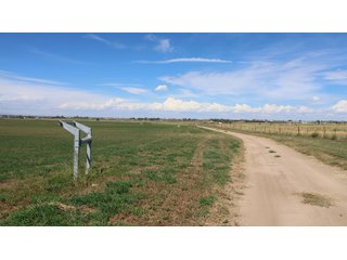 An opportunity to acquire approximately 280+/- acres along County Road 8 in southern Weld County. Strategically positioned between Fort Lupton and Brighton, the property consists of two contiguous parcels under common ownership and offers the scale and configuration to support agricultural operations, long-term investment, or future employment, industrial, technology and energy development.<BR><BR>
The property is presently zoned Agricultural in unincorporated Weld County. Its substantial acreage and location within the growing US Highway 85 and Interstate 76 corridor provide a strong foundation for a buyer prepared to evaluate zoning, infrastructure and development alternatives.<BR><BR>
Water interests include shares in the Wellington Reservoir Company, Burlington Ditch Reservoir and Land Company, and Brighton Lateral Ditch Company. Ownership, conveyance terms, historical use, transferable yield and suitability for future development remain subject to verification.<BR><BR>
The property provides access to the northern Denver metropolitan area, Denver International Airport and expanding Weld County employment centers. Existing agricultural use offers an interim holding strategy while a purchaser evaluates potential development plans and required approvals.<BR><BR>
Prospective purchasers should independently verify acreage, boundaries, access, zoning, permitted uses, utility availability and capacity, water rights, environmental conditions, mineral interests and development feasibility. No survey is being provided, and all future development concepts are subject to governmental and utility-provider approvals. - LAND FOR SALE - 280+/-ACRES IN WELD COUNTY, COLORADO