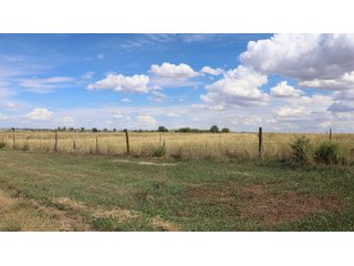 An opportunity to acquire approximately 280+/- acres along County Road 8 in southern Weld County. Strategically positioned between Fort Lupton and Brighton, the property consists of two contiguous parcels under common ownership and offers the scale and configuration to support agricultural operations, long-term investment, or future employment, industrial, technology and energy development.<BR><BR>
The property is presently zoned Agricultural in unincorporated Weld County. Its substantial acreage and location within the growing US Highway 85 and Interstate 76 corridor provide a strong foundation for a buyer prepared to evaluate zoning, infrastructure and development alternatives.<BR><BR>
Water interests include shares in the Wellington Reservoir Company, Burlington Ditch Reservoir and Land Company, and Brighton Lateral Ditch Company. Ownership, conveyance terms, historical use, transferable yield and suitability for future development remain subject to verification.<BR><BR>
The property provides access to the northern Denver metropolitan area, Denver International Airport and expanding Weld County employment centers. Existing agricultural use offers an interim holding strategy while a purchaser evaluates potential development plans and required approvals.<BR><BR>
Prospective purchasers should independently verify acreage, boundaries, access, zoning, permitted uses, utility availability and capacity, water rights, environmental conditions, mineral interests and development feasibility. No survey is being provided, and all future development concepts are subject to governmental and utility-provider approvals. - LAND FOR SALE - 280+/-ACRES IN WELD COUNTY, COLORADO