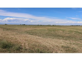 An opportunity to acquire approximately 280+/- acres along County Road 8 in southern Weld County. Strategically positioned between Fort Lupton and Brighton, the property consists of two contiguous parcels under common ownership and offers the scale and configuration to support agricultural operations, long-term investment, or future employment, industrial, technology and energy development.<BR><BR>
The property is presently zoned Agricultural in unincorporated Weld County. Its substantial acreage and location within the growing US Highway 85 and Interstate 76 corridor provide a strong foundation for a buyer prepared to evaluate zoning, infrastructure and development alternatives.<BR><BR>
Water interests include shares in the Wellington Reservoir Company, Burlington Ditch Reservoir and Land Company, and Brighton Lateral Ditch Company. Ownership, conveyance terms, historical use, transferable yield and suitability for future development remain subject to verification.<BR><BR>
The property provides access to the northern Denver metropolitan area, Denver International Airport and expanding Weld County employment centers. Existing agricultural use offers an interim holding strategy while a purchaser evaluates potential development plans and required approvals.<BR><BR>
Prospective purchasers should independently verify acreage, boundaries, access, zoning, permitted uses, utility availability and capacity, water rights, environmental conditions, mineral interests and development feasibility. No survey is being provided, and all future development concepts are subject to governmental and utility-provider approvals. - LAND FOR SALE - 280+/-ACRES IN WELD COUNTY, COLORADO