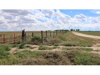 An opportunity to acquire approximately 280+/- acres along County Road 8 in southern Weld County. Strategically positioned between Fort Lupton and Brighton, the property consists of two contiguous parcels under common ownership and offers the scale and configuration to support agricultural operations, long-term investment, or future employment, industrial, technology and energy development.<BR><BR>
The property is presently zoned Agricultural in unincorporated Weld County. Its substantial acreage and location within the growing US Highway 85 and Interstate 76 corridor provide a strong foundation for a buyer prepared to evaluate zoning, infrastructure and development alternatives.<BR><BR>
Water interests include shares in the Wellington Reservoir Company, Burlington Ditch Reservoir and Land Company, and Brighton Lateral Ditch Company. Ownership, conveyance terms, historical use, transferable yield and suitability for future development remain subject to verification.<BR><BR>
The property provides access to the northern Denver metropolitan area, Denver International Airport and expanding Weld County employment centers. Existing agricultural use offers an interim holding strategy while a purchaser evaluates potential development plans and required approvals.<BR><BR>
Prospective purchasers should independently verify acreage, boundaries, access, zoning, permitted uses, utility availability and capacity, water rights, environmental conditions, mineral interests and development feasibility. No survey is being provided, and all future development concepts are subject to governmental and utility-provider approvals. - LAND FOR SALE - 280+/-ACRES IN WELD COUNTY, COLORADO