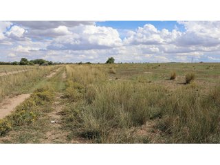 An opportunity to acquire approximately 280+/- acres along County Road 8 in southern Weld County. Strategically positioned between Fort Lupton and Brighton, the property consists of two contiguous parcels under common ownership and offers the scale and configuration to support agricultural operations, long-term investment, or future employment, industrial, technology and energy development.<BR><BR>
The property is presently zoned Agricultural in unincorporated Weld County. Its substantial acreage and location within the growing US Highway 85 and Interstate 76 corridor provide a strong foundation for a buyer prepared to evaluate zoning, infrastructure and development alternatives.<BR><BR>
Water interests include shares in the Wellington Reservoir Company, Burlington Ditch Reservoir and Land Company, and Brighton Lateral Ditch Company. Ownership, conveyance terms, historical use, transferable yield and suitability for future development remain subject to verification.<BR><BR>
The property provides access to the northern Denver metropolitan area, Denver International Airport and expanding Weld County employment centers. Existing agricultural use offers an interim holding strategy while a purchaser evaluates potential development plans and required approvals.<BR><BR>
Prospective purchasers should independently verify acreage, boundaries, access, zoning, permitted uses, utility availability and capacity, water rights, environmental conditions, mineral interests and development feasibility. No survey is being provided, and all future development concepts are subject to governmental and utility-provider approvals. - LAND FOR SALE - 280+/-ACRES IN WELD COUNTY, COLORADO