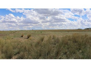 An opportunity to acquire approximately 280+/- acres along County Road 8 in southern Weld County. Strategically positioned between Fort Lupton and Brighton, the property consists of two contiguous parcels under common ownership and offers the scale and configuration to support agricultural operations, long-term investment, or future employment, industrial, technology and energy development.<BR><BR>
The property is presently zoned Agricultural in unincorporated Weld County. Its substantial acreage and location within the growing US Highway 85 and Interstate 76 corridor provide a strong foundation for a buyer prepared to evaluate zoning, infrastructure and development alternatives.<BR><BR>
Water interests include shares in the Wellington Reservoir Company, Burlington Ditch Reservoir and Land Company, and Brighton Lateral Ditch Company. Ownership, conveyance terms, historical use, transferable yield and suitability for future development remain subject to verification.<BR><BR>
The property provides access to the northern Denver metropolitan area, Denver International Airport and expanding Weld County employment centers. Existing agricultural use offers an interim holding strategy while a purchaser evaluates potential development plans and required approvals.<BR><BR>
Prospective purchasers should independently verify acreage, boundaries, access, zoning, permitted uses, utility availability and capacity, water rights, environmental conditions, mineral interests and development feasibility. No survey is being provided, and all future development concepts are subject to governmental and utility-provider approvals. - LAND FOR SALE - 280+/-ACRES IN WELD COUNTY, COLORADO