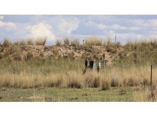 An opportunity to acquire approximately 280+/- acres along County Road 8 in southern Weld County. Strategically positioned between Fort Lupton and Brighton, the property consists of two contiguous parcels under common ownership and offers the scale and configuration to support agricultural operations, long-term investment, or future employment, industrial, technology and energy development.<BR><BR>
The property is presently zoned Agricultural in unincorporated Weld County. Its substantial acreage and location within the growing US Highway 85 and Interstate 76 corridor provide a strong foundation for a buyer prepared to evaluate zoning, infrastructure and development alternatives.<BR><BR>
Water interests include shares in the Wellington Reservoir Company, Burlington Ditch Reservoir and Land Company, and Brighton Lateral Ditch Company. Ownership, conveyance terms, historical use, transferable yield and suitability for future development remain subject to verification.<BR><BR>
The property provides access to the northern Denver metropolitan area, Denver International Airport and expanding Weld County employment centers. Existing agricultural use offers an interim holding strategy while a purchaser evaluates potential development plans and required approvals.<BR><BR>
Prospective purchasers should independently verify acreage, boundaries, access, zoning, permitted uses, utility availability and capacity, water rights, environmental conditions, mineral interests and development feasibility. No survey is being provided, and all future development concepts are subject to governmental and utility-provider approvals. - LAND FOR SALE - 280+/-ACRES IN WELD COUNTY, COLORADO