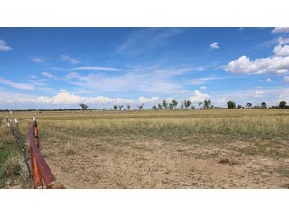 An opportunity to acquire approximately 280+/- acres along County Road 8 in southern Weld County. Strategically positioned between Fort Lupton and Brighton, the property consists of two contiguous parcels under common ownership and offers the scale and configuration to support agricultural operations, long-term investment, or future employment, industrial, technology and energy development.<BR><BR>
The property is presently zoned Agricultural in unincorporated Weld County. Its substantial acreage and location within the growing US Highway 85 and Interstate 76 corridor provide a strong foundation for a buyer prepared to evaluate zoning, infrastructure and development alternatives.<BR><BR>
Water interests include shares in the Wellington Reservoir Company, Burlington Ditch Reservoir and Land Company, and Brighton Lateral Ditch Company. Ownership, conveyance terms, historical use, transferable yield and suitability for future development remain subject to verification.<BR><BR>
The property provides access to the northern Denver metropolitan area, Denver International Airport and expanding Weld County employment centers. Existing agricultural use offers an interim holding strategy while a purchaser evaluates potential development plans and required approvals.<BR><BR>
Prospective purchasers should independently verify acreage, boundaries, access, zoning, permitted uses, utility availability and capacity, water rights, environmental conditions, mineral interests and development feasibility. No survey is being provided, and all future development concepts are subject to governmental and utility-provider approvals. - LAND FOR SALE - 280+/-ACRES IN WELD COUNTY, COLORADO