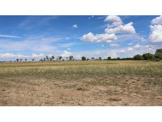An opportunity to acquire approximately 280+/- acres along County Road 8 in southern Weld County. Strategically positioned between Fort Lupton and Brighton, the property consists of two contiguous parcels under common ownership and offers the scale and configuration to support agricultural operations, long-term investment, or future employment, industrial, technology and energy development.<BR><BR>
The property is presently zoned Agricultural in unincorporated Weld County. Its substantial acreage and location within the growing US Highway 85 and Interstate 76 corridor provide a strong foundation for a buyer prepared to evaluate zoning, infrastructure and development alternatives.<BR><BR>
Water interests include shares in the Wellington Reservoir Company, Burlington Ditch Reservoir and Land Company, and Brighton Lateral Ditch Company. Ownership, conveyance terms, historical use, transferable yield and suitability for future development remain subject to verification.<BR><BR>
The property provides access to the northern Denver metropolitan area, Denver International Airport and expanding Weld County employment centers. Existing agricultural use offers an interim holding strategy while a purchaser evaluates potential development plans and required approvals.<BR><BR>
Prospective purchasers should independently verify acreage, boundaries, access, zoning, permitted uses, utility availability and capacity, water rights, environmental conditions, mineral interests and development feasibility. No survey is being provided, and all future development concepts are subject to governmental and utility-provider approvals. - LAND FOR SALE - 280+/-ACRES IN WELD COUNTY, COLORADO