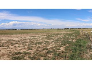 An opportunity to acquire approximately 280+/- acres along County Road 8 in southern Weld County. Strategically positioned between Fort Lupton and Brighton, the property consists of two contiguous parcels under common ownership and offers the scale and configuration to support agricultural operations, long-term investment, or future employment, industrial, technology and energy development.<BR><BR>
The property is presently zoned Agricultural in unincorporated Weld County. Its substantial acreage and location within the growing US Highway 85 and Interstate 76 corridor provide a strong foundation for a buyer prepared to evaluate zoning, infrastructure and development alternatives.<BR><BR>
Water interests include shares in the Wellington Reservoir Company, Burlington Ditch Reservoir and Land Company, and Brighton Lateral Ditch Company. Ownership, conveyance terms, historical use, transferable yield and suitability for future development remain subject to verification.<BR><BR>
The property provides access to the northern Denver metropolitan area, Denver International Airport and expanding Weld County employment centers. Existing agricultural use offers an interim holding strategy while a purchaser evaluates potential development plans and required approvals.<BR><BR>
Prospective purchasers should independently verify acreage, boundaries, access, zoning, permitted uses, utility availability and capacity, water rights, environmental conditions, mineral interests and development feasibility. No survey is being provided, and all future development concepts are subject to governmental and utility-provider approvals. - LAND FOR SALE - 280+/-ACRES IN WELD COUNTY, COLORADO