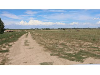 An opportunity to acquire approximately 280+/- acres along County Road 8 in southern Weld County. Strategically positioned between Fort Lupton and Brighton, the property consists of two contiguous parcels under common ownership and offers the scale and configuration to support agricultural operations, long-term investment, or future employment, industrial, technology and energy development.<BR><BR>
The property is presently zoned Agricultural in unincorporated Weld County. Its substantial acreage and location within the growing US Highway 85 and Interstate 76 corridor provide a strong foundation for a buyer prepared to evaluate zoning, infrastructure and development alternatives.<BR><BR>
Water interests include shares in the Wellington Reservoir Company, Burlington Ditch Reservoir and Land Company, and Brighton Lateral Ditch Company. Ownership, conveyance terms, historical use, transferable yield and suitability for future development remain subject to verification.<BR><BR>
The property provides access to the northern Denver metropolitan area, Denver International Airport and expanding Weld County employment centers. Existing agricultural use offers an interim holding strategy while a purchaser evaluates potential development plans and required approvals.<BR><BR>
Prospective purchasers should independently verify acreage, boundaries, access, zoning, permitted uses, utility availability and capacity, water rights, environmental conditions, mineral interests and development feasibility. No survey is being provided, and all future development concepts are subject to governmental and utility-provider approvals. - LAND FOR SALE - 280+/-ACRES IN WELD COUNTY, COLORADO