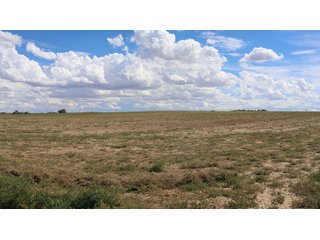 An opportunity to acquire approximately 280+/- acres along County Road 8 in southern Weld County. Strategically positioned between Fort Lupton and Brighton, the property consists of two contiguous parcels under common ownership and offers the scale and configuration to support agricultural operations, long-term investment, or future employment, industrial, technology and energy development.<BR><BR>
The property is presently zoned Agricultural in unincorporated Weld County. Its substantial acreage and location within the growing US Highway 85 and Interstate 76 corridor provide a strong foundation for a buyer prepared to evaluate zoning, infrastructure and development alternatives.<BR><BR>
Water interests include shares in the Wellington Reservoir Company, Burlington Ditch Reservoir and Land Company, and Brighton Lateral Ditch Company. Ownership, conveyance terms, historical use, transferable yield and suitability for future development remain subject to verification.<BR><BR>
The property provides access to the northern Denver metropolitan area, Denver International Airport and expanding Weld County employment centers. Existing agricultural use offers an interim holding strategy while a purchaser evaluates potential development plans and required approvals.<BR><BR>
Prospective purchasers should independently verify acreage, boundaries, access, zoning, permitted uses, utility availability and capacity, water rights, environmental conditions, mineral interests and development feasibility. No survey is being provided, and all future development concepts are subject to governmental and utility-provider approvals. - LAND FOR SALE - 280+/-ACRES IN WELD COUNTY, COLORADO