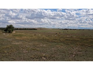 An opportunity to acquire approximately 280+/- acres along County Road 8 in southern Weld County. Strategically positioned between Fort Lupton and Brighton, the property consists of two contiguous parcels under common ownership and offers the scale and configuration to support agricultural operations, long-term investment, or future employment, industrial, technology and energy development.<BR><BR>
The property is presently zoned Agricultural in unincorporated Weld County. Its substantial acreage and location within the growing US Highway 85 and Interstate 76 corridor provide a strong foundation for a buyer prepared to evaluate zoning, infrastructure and development alternatives.<BR><BR>
Water interests include shares in the Wellington Reservoir Company, Burlington Ditch Reservoir and Land Company, and Brighton Lateral Ditch Company. Ownership, conveyance terms, historical use, transferable yield and suitability for future development remain subject to verification.<BR><BR>
The property provides access to the northern Denver metropolitan area, Denver International Airport and expanding Weld County employment centers. Existing agricultural use offers an interim holding strategy while a purchaser evaluates potential development plans and required approvals.<BR><BR>
Prospective purchasers should independently verify acreage, boundaries, access, zoning, permitted uses, utility availability and capacity, water rights, environmental conditions, mineral interests and development feasibility. No survey is being provided, and all future development concepts are subject to governmental and utility-provider approvals. - LAND FOR SALE - 280+/-ACRES IN WELD COUNTY, COLORADO