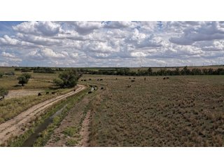 An opportunity to acquire approximately 280+/- acres along County Road 8 in southern Weld County. Strategically positioned between Fort Lupton and Brighton, the property consists of two contiguous parcels under common ownership and offers the scale and configuration to support agricultural operations, long-term investment, or future employment, industrial, technology and energy development.<BR><BR>
The property is presently zoned Agricultural in unincorporated Weld County. Its substantial acreage and location within the growing US Highway 85 and Interstate 76 corridor provide a strong foundation for a buyer prepared to evaluate zoning, infrastructure and development alternatives.<BR><BR>
Water interests include shares in the Wellington Reservoir Company, Burlington Ditch Reservoir and Land Company, and Brighton Lateral Ditch Company. Ownership, conveyance terms, historical use, transferable yield and suitability for future development remain subject to verification.<BR><BR>
The property provides access to the northern Denver metropolitan area, Denver International Airport and expanding Weld County employment centers. Existing agricultural use offers an interim holding strategy while a purchaser evaluates potential development plans and required approvals.<BR><BR>
Prospective purchasers should independently verify acreage, boundaries, access, zoning, permitted uses, utility availability and capacity, water rights, environmental conditions, mineral interests and development feasibility. No survey is being provided, and all future development concepts are subject to governmental and utility-provider approvals. - LAND FOR SALE - 280+/-ACRES IN WELD COUNTY, COLORADO