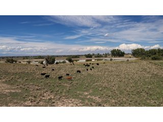 Property photo 16 - LAND FOR SALE - 280+/-ACRES IN WELD COUNTY, COLORADO