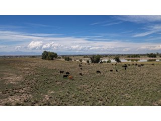 Property photo 17 - LAND FOR SALE - 280+/-ACRES IN WELD COUNTY, COLORADO
