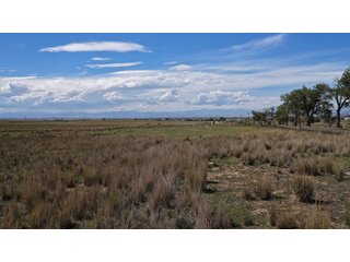 An opportunity to acquire approximately 280+/- acres along County Road 8 in southern Weld County. Strategically positioned between Fort Lupton and Brighton, the property consists of two contiguous parcels under common ownership and offers the scale and configuration to support agricultural operations, long-term investment, or future employment, industrial, technology and energy development.<BR><BR>
The property is presently zoned Agricultural in unincorporated Weld County. Its substantial acreage and location within the growing US Highway 85 and Interstate 76 corridor provide a strong foundation for a buyer prepared to evaluate zoning, infrastructure and development alternatives.<BR><BR>
Water interests include shares in the Wellington Reservoir Company, Burlington Ditch Reservoir and Land Company, and Brighton Lateral Ditch Company. Ownership, conveyance terms, historical use, transferable yield and suitability for future development remain subject to verification.<BR><BR>
The property provides access to the northern Denver metropolitan area, Denver International Airport and expanding Weld County employment centers. Existing agricultural use offers an interim holding strategy while a purchaser evaluates potential development plans and required approvals.<BR><BR>
Prospective purchasers should independently verify acreage, boundaries, access, zoning, permitted uses, utility availability and capacity, water rights, environmental conditions, mineral interests and development feasibility. No survey is being provided, and all future development concepts are subject to governmental and utility-provider approvals. - LAND FOR SALE - 280+/-ACRES IN WELD COUNTY, COLORADO