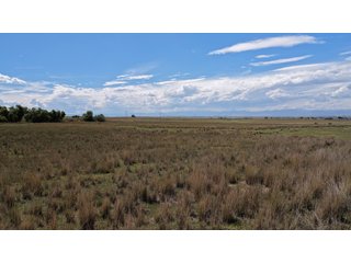 An opportunity to acquire approximately 280+/- acres along County Road 8 in southern Weld County. Strategically positioned between Fort Lupton and Brighton, the property consists of two contiguous parcels under common ownership and offers the scale and configuration to support agricultural operations, long-term investment, or future employment, industrial, technology and energy development.<BR><BR>
The property is presently zoned Agricultural in unincorporated Weld County. Its substantial acreage and location within the growing US Highway 85 and Interstate 76 corridor provide a strong foundation for a buyer prepared to evaluate zoning, infrastructure and development alternatives.<BR><BR>
Water interests include shares in the Wellington Reservoir Company, Burlington Ditch Reservoir and Land Company, and Brighton Lateral Ditch Company. Ownership, conveyance terms, historical use, transferable yield and suitability for future development remain subject to verification.<BR><BR>
The property provides access to the northern Denver metropolitan area, Denver International Airport and expanding Weld County employment centers. Existing agricultural use offers an interim holding strategy while a purchaser evaluates potential development plans and required approvals.<BR><BR>
Prospective purchasers should independently verify acreage, boundaries, access, zoning, permitted uses, utility availability and capacity, water rights, environmental conditions, mineral interests and development feasibility. No survey is being provided, and all future development concepts are subject to governmental and utility-provider approvals. - LAND FOR SALE - 280+/-ACRES IN WELD COUNTY, COLORADO