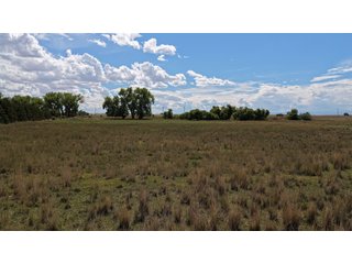 An opportunity to acquire approximately 280+/- acres along County Road 8 in southern Weld County. Strategically positioned between Fort Lupton and Brighton, the property consists of two contiguous parcels under common ownership and offers the scale and configuration to support agricultural operations, long-term investment, or future employment, industrial, technology and energy development.<BR><BR>
The property is presently zoned Agricultural in unincorporated Weld County. Its substantial acreage and location within the growing US Highway 85 and Interstate 76 corridor provide a strong foundation for a buyer prepared to evaluate zoning, infrastructure and development alternatives.<BR><BR>
Water interests include shares in the Wellington Reservoir Company, Burlington Ditch Reservoir and Land Company, and Brighton Lateral Ditch Company. Ownership, conveyance terms, historical use, transferable yield and suitability for future development remain subject to verification.<BR><BR>
The property provides access to the northern Denver metropolitan area, Denver International Airport and expanding Weld County employment centers. Existing agricultural use offers an interim holding strategy while a purchaser evaluates potential development plans and required approvals.<BR><BR>
Prospective purchasers should independently verify acreage, boundaries, access, zoning, permitted uses, utility availability and capacity, water rights, environmental conditions, mineral interests and development feasibility. No survey is being provided, and all future development concepts are subject to governmental and utility-provider approvals. - LAND FOR SALE - 280+/-ACRES IN WELD COUNTY, COLORADO