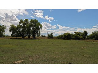 An opportunity to acquire approximately 280+/- acres along County Road 8 in southern Weld County. Strategically positioned between Fort Lupton and Brighton, the property consists of two contiguous parcels under common ownership and offers the scale and configuration to support agricultural operations, long-term investment, or future employment, industrial, technology and energy development.<BR><BR>
The property is presently zoned Agricultural in unincorporated Weld County. Its substantial acreage and location within the growing US Highway 85 and Interstate 76 corridor provide a strong foundation for a buyer prepared to evaluate zoning, infrastructure and development alternatives.<BR><BR>
Water interests include shares in the Wellington Reservoir Company, Burlington Ditch Reservoir and Land Company, and Brighton Lateral Ditch Company. Ownership, conveyance terms, historical use, transferable yield and suitability for future development remain subject to verification.<BR><BR>
The property provides access to the northern Denver metropolitan area, Denver International Airport and expanding Weld County employment centers. Existing agricultural use offers an interim holding strategy while a purchaser evaluates potential development plans and required approvals.<BR><BR>
Prospective purchasers should independently verify acreage, boundaries, access, zoning, permitted uses, utility availability and capacity, water rights, environmental conditions, mineral interests and development feasibility. No survey is being provided, and all future development concepts are subject to governmental and utility-provider approvals. - LAND FOR SALE - 280+/-ACRES IN WELD COUNTY, COLORADO