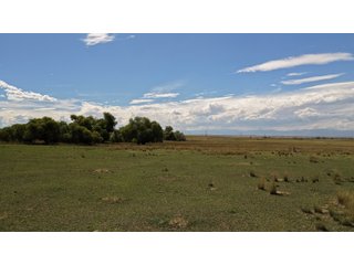 An opportunity to acquire approximately 280+/- acres along County Road 8 in southern Weld County. Strategically positioned between Fort Lupton and Brighton, the property consists of two contiguous parcels under common ownership and offers the scale and configuration to support agricultural operations, long-term investment, or future employment, industrial, technology and energy development.<BR><BR>
The property is presently zoned Agricultural in unincorporated Weld County. Its substantial acreage and location within the growing US Highway 85 and Interstate 76 corridor provide a strong foundation for a buyer prepared to evaluate zoning, infrastructure and development alternatives.<BR><BR>
Water interests include shares in the Wellington Reservoir Company, Burlington Ditch Reservoir and Land Company, and Brighton Lateral Ditch Company. Ownership, conveyance terms, historical use, transferable yield and suitability for future development remain subject to verification.<BR><BR>
The property provides access to the northern Denver metropolitan area, Denver International Airport and expanding Weld County employment centers. Existing agricultural use offers an interim holding strategy while a purchaser evaluates potential development plans and required approvals.<BR><BR>
Prospective purchasers should independently verify acreage, boundaries, access, zoning, permitted uses, utility availability and capacity, water rights, environmental conditions, mineral interests and development feasibility. No survey is being provided, and all future development concepts are subject to governmental and utility-provider approvals. - LAND FOR SALE - 280+/-ACRES IN WELD COUNTY, COLORADO