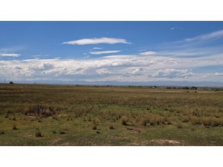 An opportunity to acquire approximately 280+/- acres along County Road 8 in southern Weld County. Strategically positioned between Fort Lupton and Brighton, the property consists of two contiguous parcels under common ownership and offers the scale and configuration to support agricultural operations, long-term investment, or future employment, industrial, technology and energy development.<BR><BR>
The property is presently zoned Agricultural in unincorporated Weld County. Its substantial acreage and location within the growing US Highway 85 and Interstate 76 corridor provide a strong foundation for a buyer prepared to evaluate zoning, infrastructure and development alternatives.<BR><BR>
Water interests include shares in the Wellington Reservoir Company, Burlington Ditch Reservoir and Land Company, and Brighton Lateral Ditch Company. Ownership, conveyance terms, historical use, transferable yield and suitability for future development remain subject to verification.<BR><BR>
The property provides access to the northern Denver metropolitan area, Denver International Airport and expanding Weld County employment centers. Existing agricultural use offers an interim holding strategy while a purchaser evaluates potential development plans and required approvals.<BR><BR>
Prospective purchasers should independently verify acreage, boundaries, access, zoning, permitted uses, utility availability and capacity, water rights, environmental conditions, mineral interests and development feasibility. No survey is being provided, and all future development concepts are subject to governmental and utility-provider approvals. - LAND FOR SALE - 280+/-ACRES IN WELD COUNTY, COLORADO
