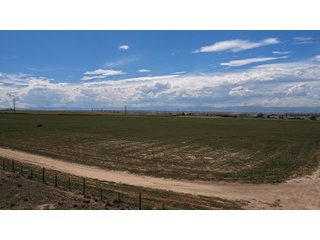 Property photo 23 - LAND FOR SALE - 280+/-ACRES IN WELD COUNTY, COLORADO