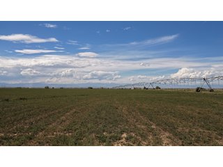 An opportunity to acquire approximately 280+/- acres along County Road 8 in southern Weld County. Strategically positioned between Fort Lupton and Brighton, the property consists of two contiguous parcels under common ownership and offers the scale and configuration to support agricultural operations, long-term investment, or future employment, industrial, technology and energy development.<BR><BR>
The property is presently zoned Agricultural in unincorporated Weld County. Its substantial acreage and location within the growing US Highway 85 and Interstate 76 corridor provide a strong foundation for a buyer prepared to evaluate zoning, infrastructure and development alternatives.<BR><BR>
Water interests include shares in the Wellington Reservoir Company, Burlington Ditch Reservoir and Land Company, and Brighton Lateral Ditch Company. Ownership, conveyance terms, historical use, transferable yield and suitability for future development remain subject to verification.<BR><BR>
The property provides access to the northern Denver metropolitan area, Denver International Airport and expanding Weld County employment centers. Existing agricultural use offers an interim holding strategy while a purchaser evaluates potential development plans and required approvals.<BR><BR>
Prospective purchasers should independently verify acreage, boundaries, access, zoning, permitted uses, utility availability and capacity, water rights, environmental conditions, mineral interests and development feasibility. No survey is being provided, and all future development concepts are subject to governmental and utility-provider approvals. - LAND FOR SALE - 280+/-ACRES IN WELD COUNTY, COLORADO
