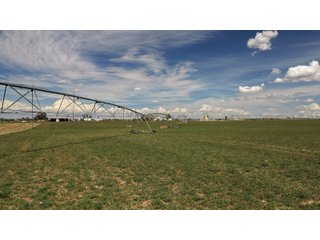 An opportunity to acquire approximately 280+/- acres along County Road 8 in southern Weld County. Strategically positioned between Fort Lupton and Brighton, the property consists of two contiguous parcels under common ownership and offers the scale and configuration to support agricultural operations, long-term investment, or future employment, industrial, technology and energy development.<BR><BR>
The property is presently zoned Agricultural in unincorporated Weld County. Its substantial acreage and location within the growing US Highway 85 and Interstate 76 corridor provide a strong foundation for a buyer prepared to evaluate zoning, infrastructure and development alternatives.<BR><BR>
Water interests include shares in the Wellington Reservoir Company, Burlington Ditch Reservoir and Land Company, and Brighton Lateral Ditch Company. Ownership, conveyance terms, historical use, transferable yield and suitability for future development remain subject to verification.<BR><BR>
The property provides access to the northern Denver metropolitan area, Denver International Airport and expanding Weld County employment centers. Existing agricultural use offers an interim holding strategy while a purchaser evaluates potential development plans and required approvals.<BR><BR>
Prospective purchasers should independently verify acreage, boundaries, access, zoning, permitted uses, utility availability and capacity, water rights, environmental conditions, mineral interests and development feasibility. No survey is being provided, and all future development concepts are subject to governmental and utility-provider approvals. - LAND FOR SALE - 280+/-ACRES IN WELD COUNTY, COLORADO