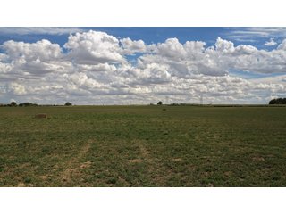 An opportunity to acquire approximately 280+/- acres along County Road 8 in southern Weld County. Strategically positioned between Fort Lupton and Brighton, the property consists of two contiguous parcels under common ownership and offers the scale and configuration to support agricultural operations, long-term investment, or future employment, industrial, technology and energy development.<BR><BR>
The property is presently zoned Agricultural in unincorporated Weld County. Its substantial acreage and location within the growing US Highway 85 and Interstate 76 corridor provide a strong foundation for a buyer prepared to evaluate zoning, infrastructure and development alternatives.<BR><BR>
Water interests include shares in the Wellington Reservoir Company, Burlington Ditch Reservoir and Land Company, and Brighton Lateral Ditch Company. Ownership, conveyance terms, historical use, transferable yield and suitability for future development remain subject to verification.<BR><BR>
The property provides access to the northern Denver metropolitan area, Denver International Airport and expanding Weld County employment centers. Existing agricultural use offers an interim holding strategy while a purchaser evaluates potential development plans and required approvals.<BR><BR>
Prospective purchasers should independently verify acreage, boundaries, access, zoning, permitted uses, utility availability and capacity, water rights, environmental conditions, mineral interests and development feasibility. No survey is being provided, and all future development concepts are subject to governmental and utility-provider approvals. - LAND FOR SALE - 280+/-ACRES IN WELD COUNTY, COLORADO