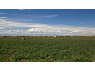 An opportunity to acquire approximately 280+/- acres along County Road 8 in southern Weld County. Strategically positioned between Fort Lupton and Brighton, the property consists of two contiguous parcels under common ownership and offers the scale and configuration to support agricultural operations, long-term investment, or future employment, industrial, technology and energy development.<BR><BR>
The property is presently zoned Agricultural in unincorporated Weld County. Its substantial acreage and location within the growing US Highway 85 and Interstate 76 corridor provide a strong foundation for a buyer prepared to evaluate zoning, infrastructure and development alternatives.<BR><BR>
Water interests include shares in the Wellington Reservoir Company, Burlington Ditch Reservoir and Land Company, and Brighton Lateral Ditch Company. Ownership, conveyance terms, historical use, transferable yield and suitability for future development remain subject to verification.<BR><BR>
The property provides access to the northern Denver metropolitan area, Denver International Airport and expanding Weld County employment centers. Existing agricultural use offers an interim holding strategy while a purchaser evaluates potential development plans and required approvals.<BR><BR>
Prospective purchasers should independently verify acreage, boundaries, access, zoning, permitted uses, utility availability and capacity, water rights, environmental conditions, mineral interests and development feasibility. No survey is being provided, and all future development concepts are subject to governmental and utility-provider approvals. - LAND FOR SALE - 280+/-ACRES IN WELD COUNTY, COLORADO